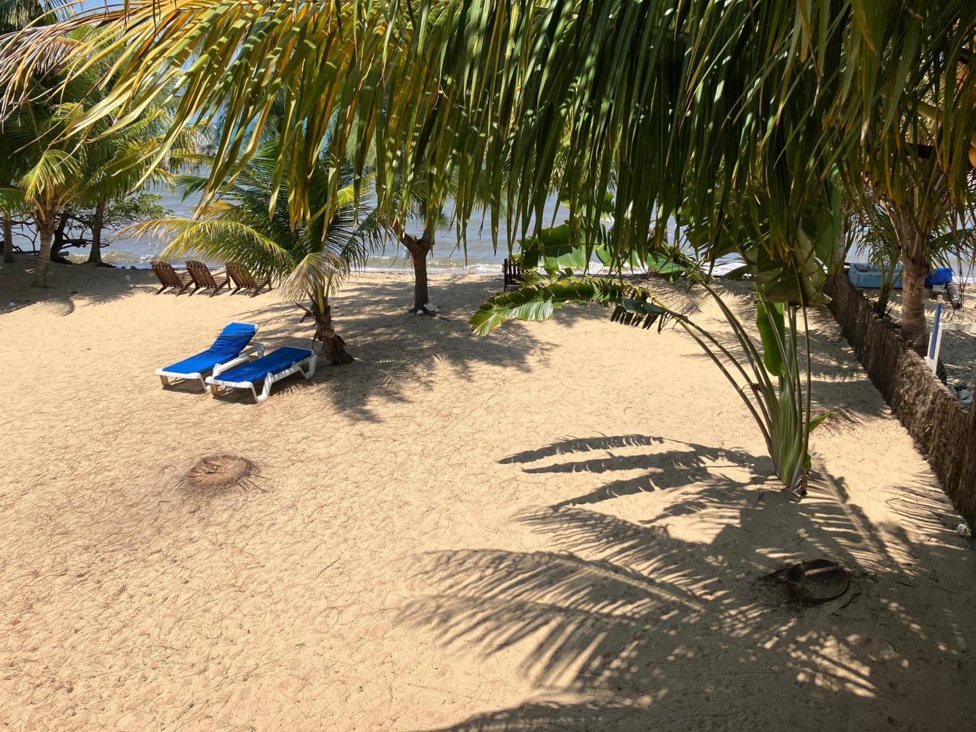 Lost Reef Resort Riversdale Eksteriør billede