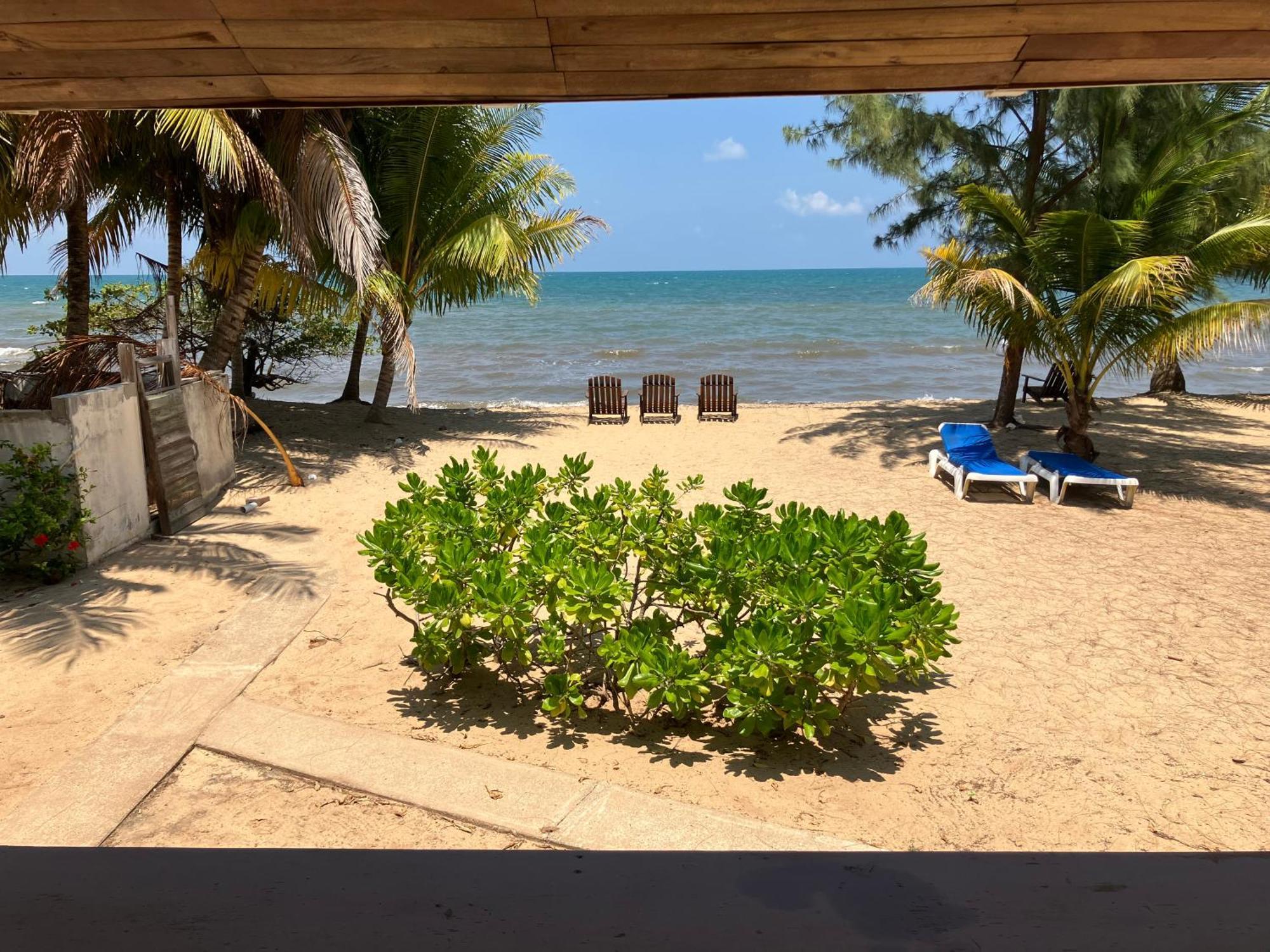 Lost Reef Resort Riversdale Eksteriør billede