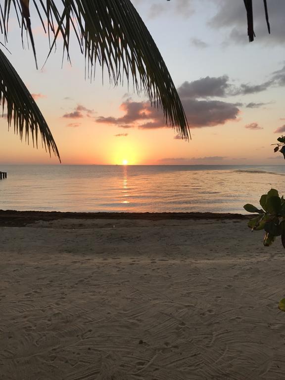 Lost Reef Resort Riversdale Eksteriør billede