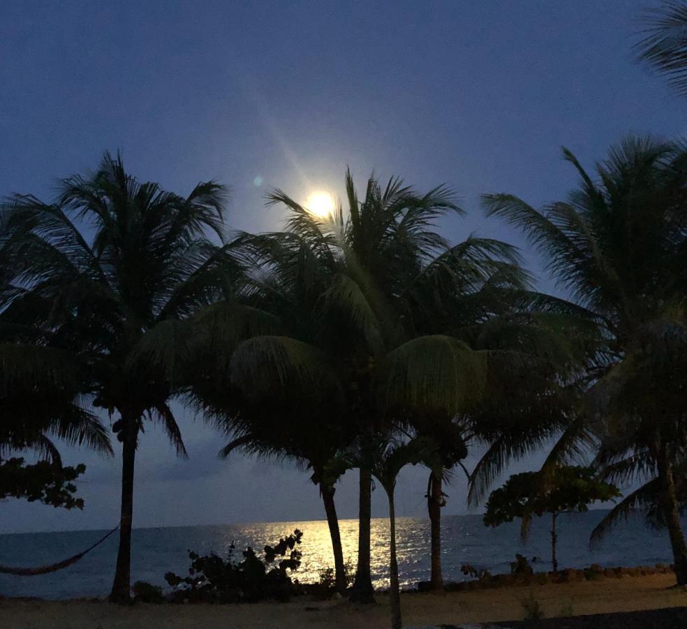 Lost Reef Resort Riversdale Eksteriør billede